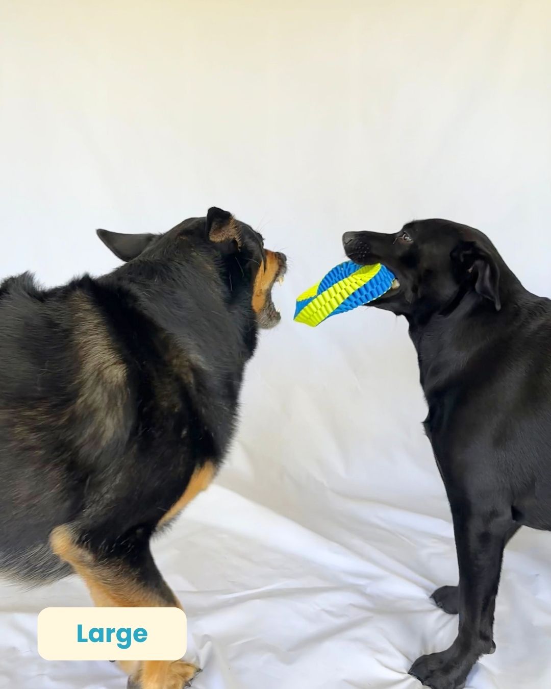 Rudie Webbed Rope Toy